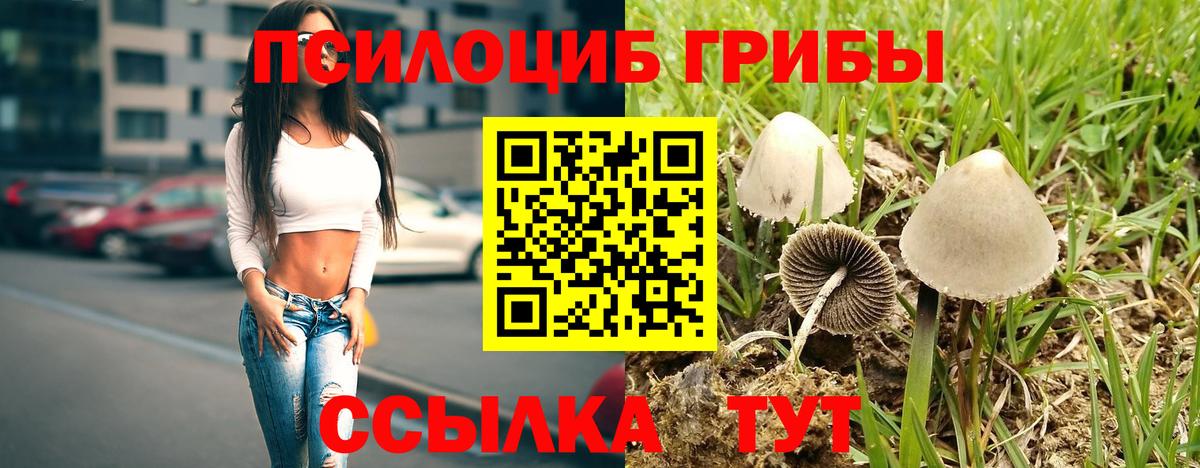 Галлюциногенные грибы мицелий  Вход с VPN  Новосибирск 